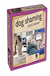 Dog Shaming 2023 Day...