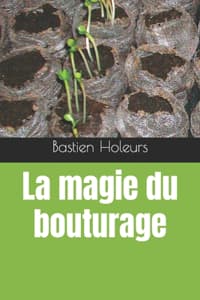 magie du bouturage