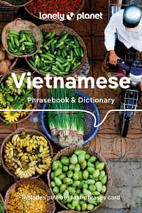 Lonely Planet Vietna...