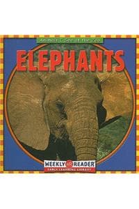 Elephants