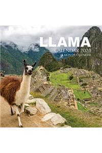 llama Calendar 2020