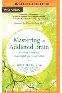 Mastering the Addict...