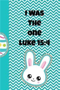 I Was the One Luke 15