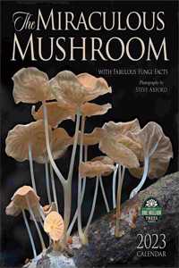 MIRACULOUS MUSHROOM ...