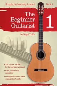 Beginner Guitarist -...