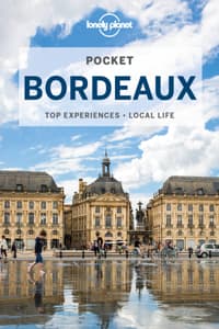 Lonely Planet Pocket...
