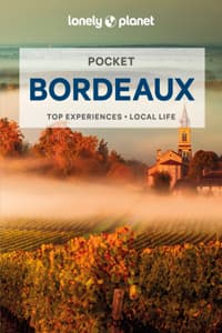 Lonely Planet Pocket...