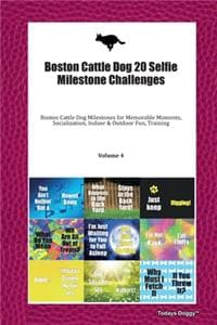Boston Cattle Dog 20...