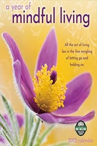 Year of Mindful Livi...