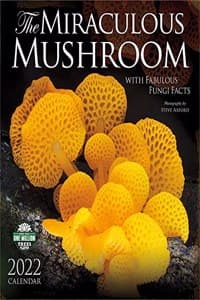 Miraculous Mushroom ...