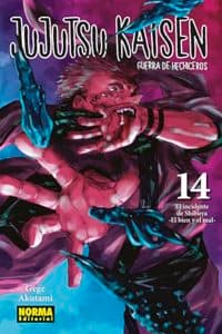 JUJUTSU KAISEN 14 (N...