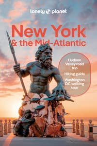 Lonely Planet New Yo...