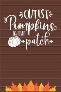 Cutest Pumpkins In T...