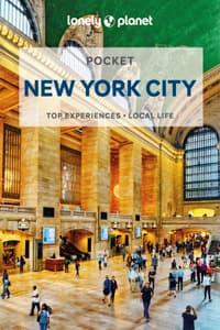 Lonely Planet Pocket...