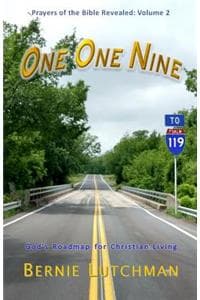 One One Nine