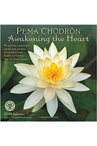 Pema Chödrön Awakeni...