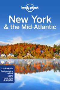 Lonely Planet New Yo...