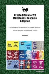 Crested Cavalier 20 ...