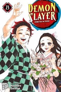 Demon Slayer - Kimet...