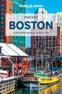 Lonely Planet Pocket...