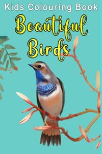 Beautiful Birds