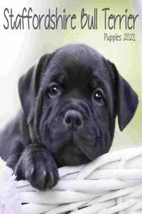 STAFFORDSHIRE BULL T...