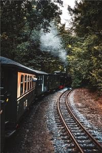 Train on the Tracks ...
