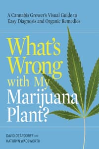 What's Wrong with My...