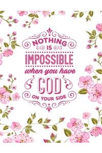Nothing Is Impossibl...
