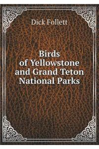 Birds of Yellowstone...