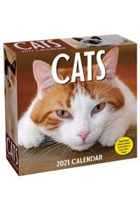Cats 2021 Day-To-Day...