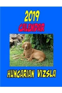 2019 Calendar Hungar...
