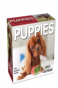 Puppies 2023 Mini Da...