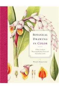 Botanical Drawing in...