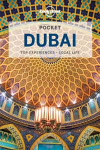 Lonely Planet Pocket...