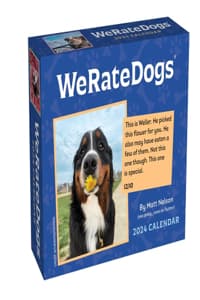 Weratedogs 2024 Day-...