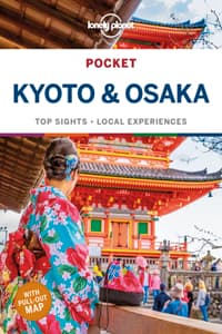 Lonely Planet Pocket...