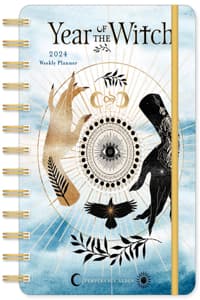 Year of the Witch 20...