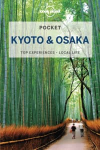 Lonely Planet Pocket...